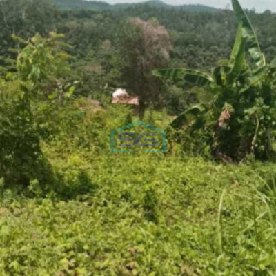 Dijual Tanah di Teluk Betung Timur, Bandar Lampung Luas 9316m2