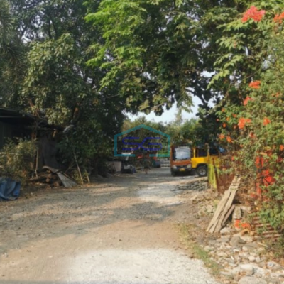 Disewakan Tanah Kapuk Kamal Penjaringan Jakarta Utara Luas Tanah 10000m2