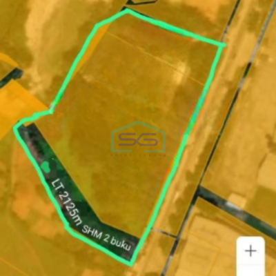 Dijual Tanah Raya Cikande Serang 2 Hektar HA Rangkas Bitung cocok untuk Industri maupun Pabrik