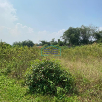 Dijual Tanah Strategis Lokasi Dekat Pintu Tol Di Cisoka Tangerang Luas Tanah 230000 m²