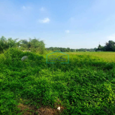 Dijual Tanah Lokasi Strategis Peruntukkan Industri Di Cikupa Tangerang Luas Tanah 73000 m²-3