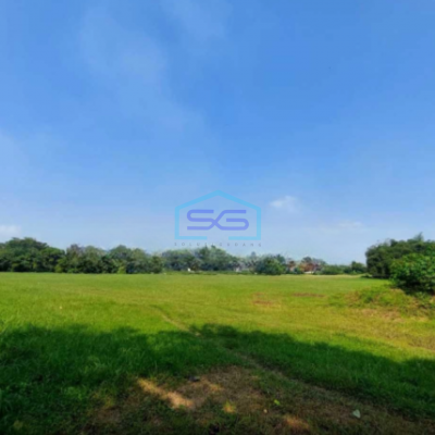 Dijual Tanah Lokasi Strategis Peruntukkan Industri Di Cikupa Tangerang Luas Tanah 73000 m²-2