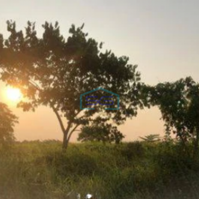 Dijual Tanah Cikarang Bekasi Kavling Siap Bangun Zona Industri Pergudangan LT 11118m2