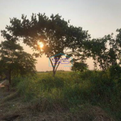 Dijual Tanah Cikarang Bekasi Kavling Siap Bangun Zona Industri Pergudangan LT 11118m2