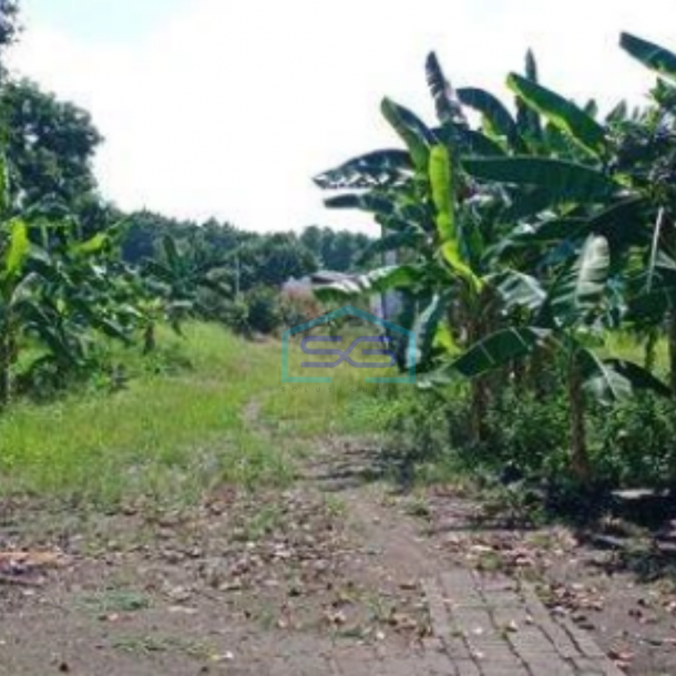 Dijual Gudang Pabrik Tangerang Pabrik Gudang Pasarkemis Luas Bangunan 3000m2-5