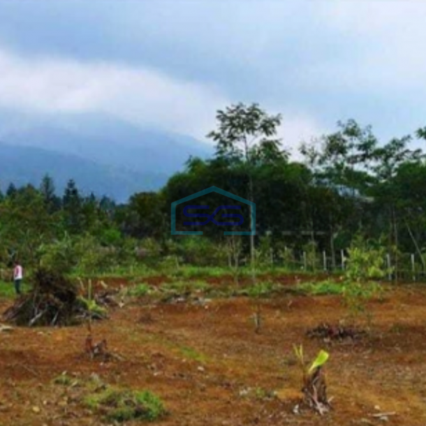 Dijual Tanah Kavling Siap Bangun di Ciapus Tamansari Bogor LT 2000m2-2