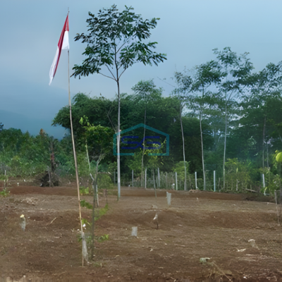 Dijual Tanah Kavling Siap Bangun di Ciapus Tamansari Bogor LT 2000m2