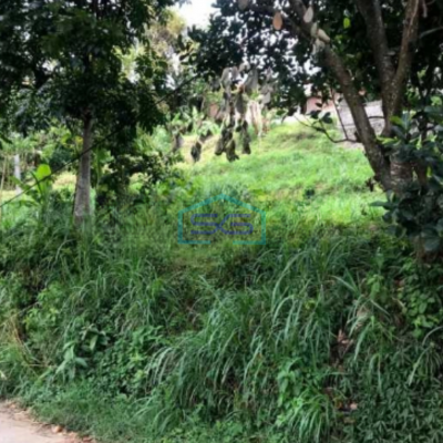 Dijual Murah Tanah Kavling Di Cipulus Cilengkrang Cibiru Bandung LT 1849m2