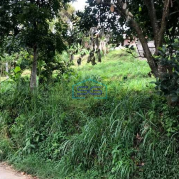 Dijual Murah Tanah Kavling Di Cipulus Cilengkrang Cibiru Bandung LT 1849m2-3