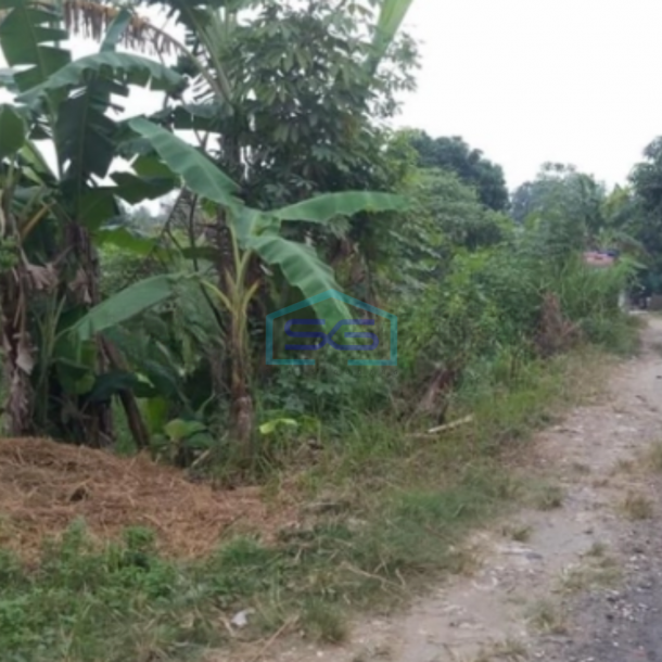 Dijual Tanah Murah Lokasi Sangat Bagus di Balaraja Tangerang LT 2600m2-1