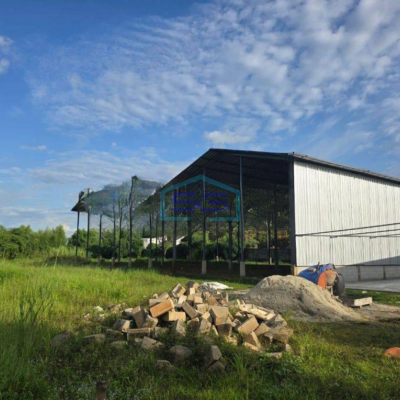 Disewakan Gudang Baru Di Tigaraksa Tangerang Banten LT 1000m2