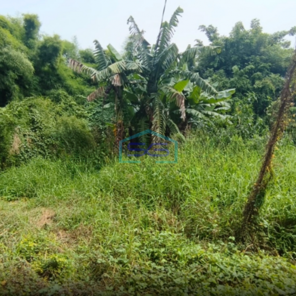 Di Sewakan Tanah Di Kawasan Industri Jl Mauk 3 Tangerang Luas Tanah  5500 m²-2