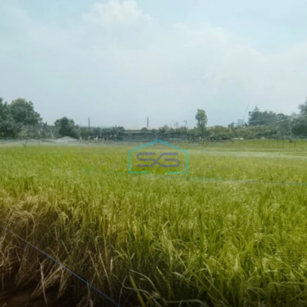 Dijual Tanah SHM murah seluas 14.000m2 di Suka Danau Bekasi Luas Tanah  14000 m²-4