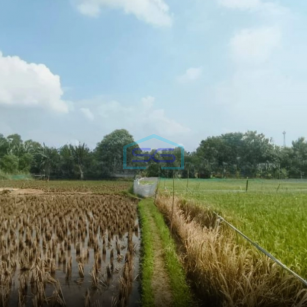 Dijual Tanah SHM murah seluas 14.000m2 di Suka Danau Bekasi Luas Tanah  14000 m²-3