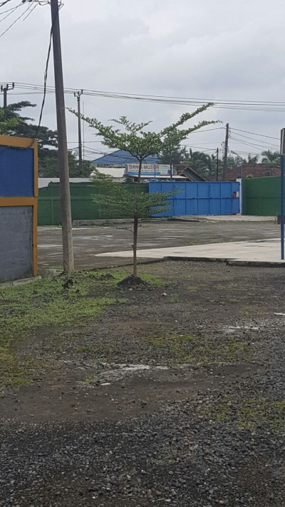 TANAH DIJUAL DI DAERAH DAAN MOGOT