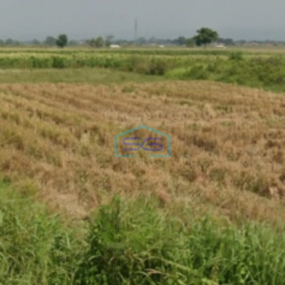 Dijual Tanah Di Jalan Kanci Astanajapura Dekat Tol Kanci Cirebon