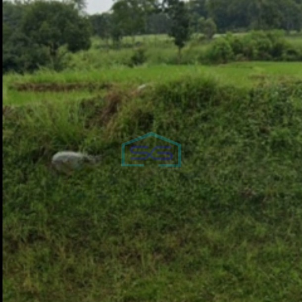 Disewakan Tanah Bagus Di Daerah Kuliner Gronggong Ciperna Cirebon-3