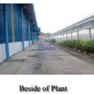 Disewakan Pabrik di Delta silicon 3, Cikarang