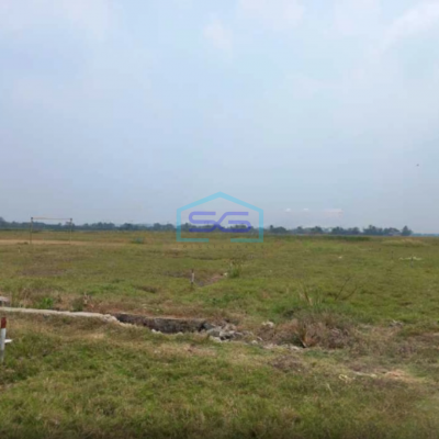 Dijual Tanah Datar di Tambelang Bekasi Luas Tanah 17681m2