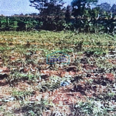 Dijual Tanah Di Megamendung Bogor LT 9956m2