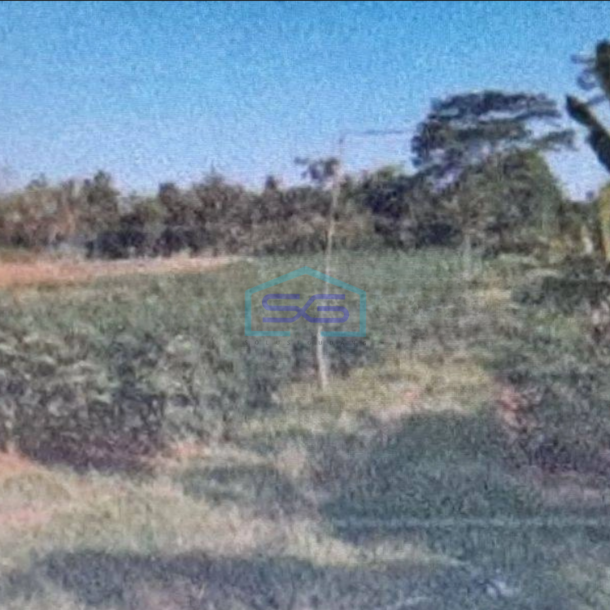 Dijual Tanah Di Ciseeng Bogor Lokasi Strategis LT 64336m2-1