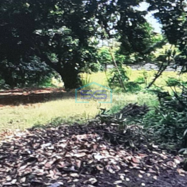 Dijual Tanah di Pinggir Jalan Bungur Raya Sukatani Cimanggis Depok LT 6305m2-3