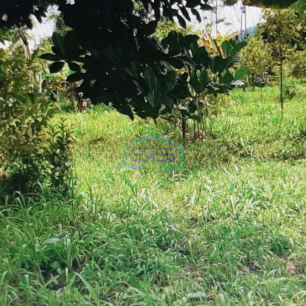 Dijual Tanah Di Tamansari Bogor LT 3735m2-1