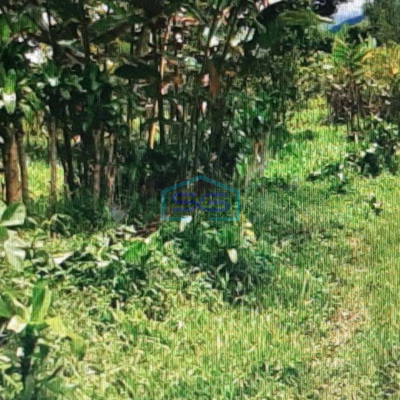 Dijual Tanah Di Tamansari Bogor LT 3735m2