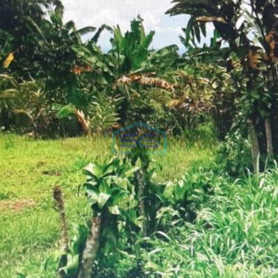 Dijual Tanah Di Tamansari Bogor LT 3735m2