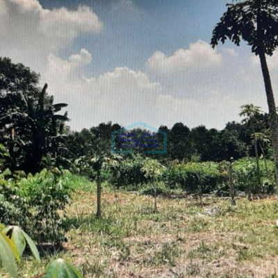 Dijual Tanah Di Gunung Sindur Bogor Lokasi Strategis di Pinggir Jalan Raya LT 8006m2