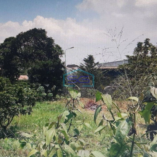 Dijual Tanah Di Gunung Sindur Bogor Lokasi Strategis di Pinggir Jalan Raya LT 8006m2-3