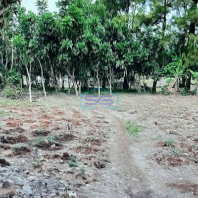 Dijual Tanah Di Bojong Gede Bogor Sangat Strategis LT 4361m2-2