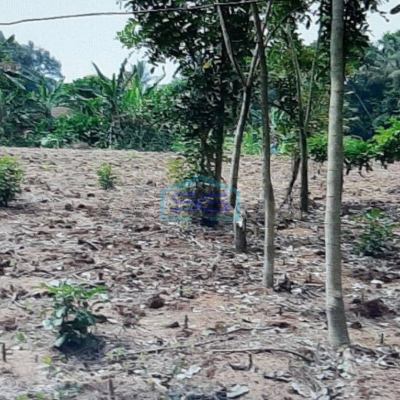 Dijual Tanah Di Bojong Gede Bogor Sangat Strategis LT 4361m2-1