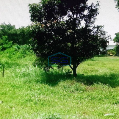 Dijual Gudang Ex Pabrik di Jalan Raya Narogong Klapa Nunggal Bogor LT 99576m2