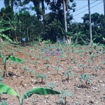 Dijual Tanah Di Citeureup Bogor Lokasi Strategis Akses Bagus LT 47231m2