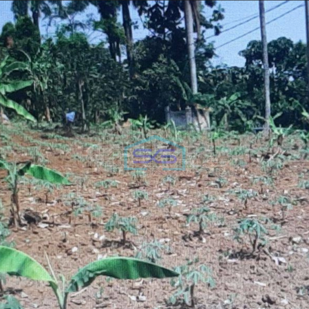 Dijual Tanah Di Citeureup Bogor Lokasi Strategis Akses Bagus LT 47231m2-1