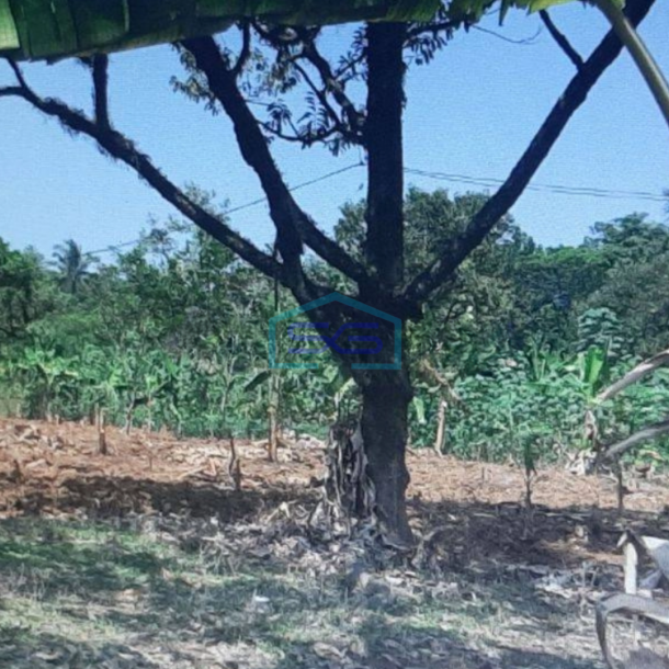 Dijual Tanah Di Citeureup Bogor Lokasi Strategis Akses Bagus LT 47231m2-3