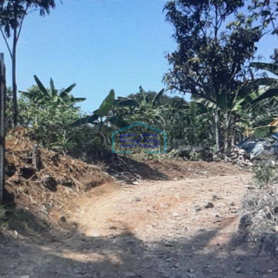 Dijual Tanah Di Citeureup Bogor Lokasi Strategis Akses Bagus LT 47231m2