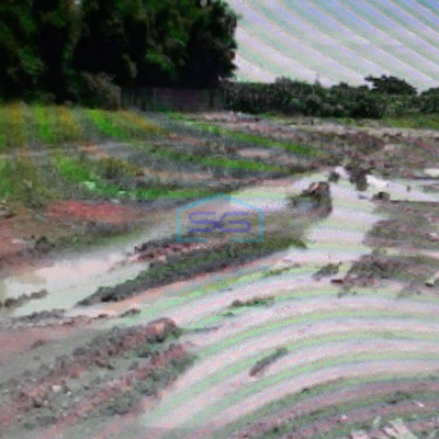 Dijual Tanah Di Semarang Lokasi Strategis Dipinggir Jalan Raya LT 18243m2