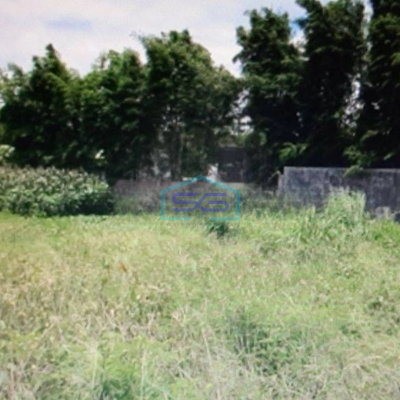 Dijual Tanah Di Semarang Lokasi Strategis Dipinggir Jalan Raya LT 18243m2