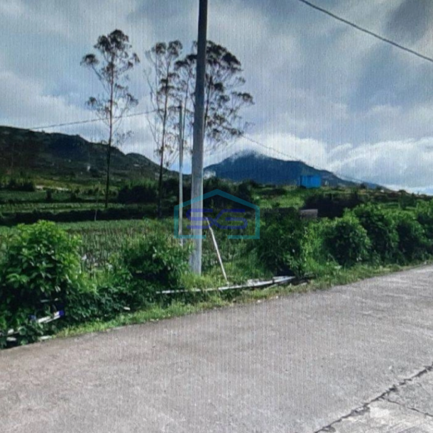 Dijual Tanah di Pinggir Jalan Raya Batur Banjarnegara LT 461015m2-2