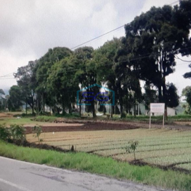 Dijual Tanah di Pinggir Jalan Raya Batur Banjarnegara LT 461015m2-1