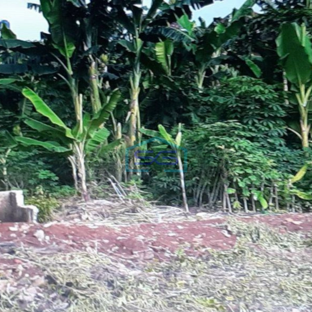 Dijual Tanah di Cilandak Timur Pasar Minggu Jakarta Selatan LT 5000m2-2