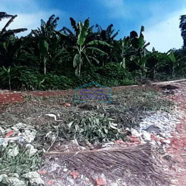 Dijual Tanah di Cilandak Timur Pasar Minggu Jakarta Selatan LT 5000m2-1