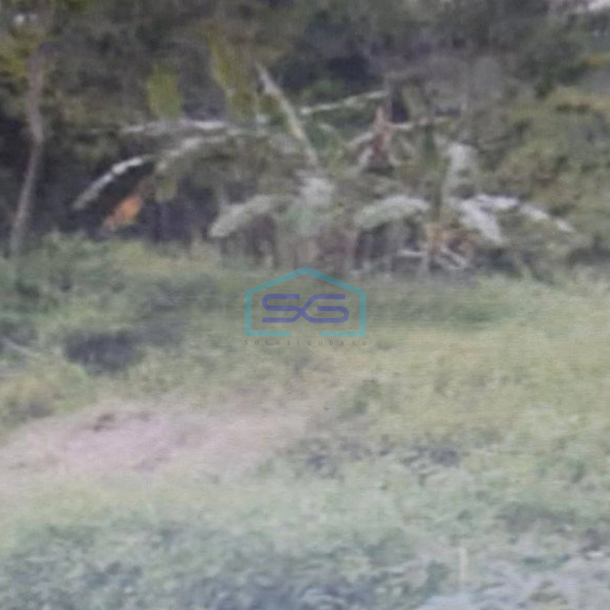 Dijual Tanah Dalam Kawasan Industri Tambakaji Semarang LT 37500m2-1