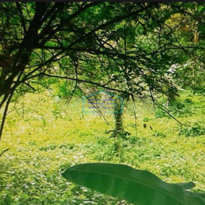 Dijual Tanah Di Jalan Sholeh Iskandar Bogor Dekat Tol LT 7012m2