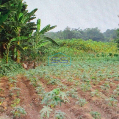 Dijual Tanah Di Bogor LT 58677m2