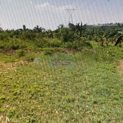 Dijual Tanah Di Citeureup Bogor Dekat Tol Jagorawi LT 89421m2