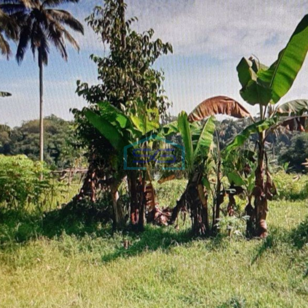 Dijual Tanah Dipinggir Jalan Sukabumi LT 19700m2-3