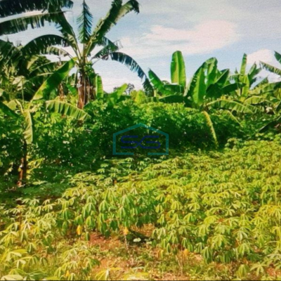 Dijual Tanah di Bogor Sangat Strategis Dipinggir Jalan LT 18872m2